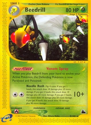 Beedrill (5)/144 - Skyridge