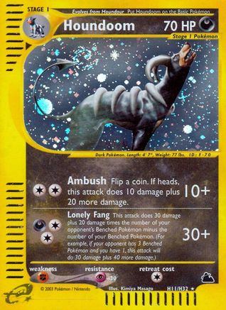 Houndoom (H11)/144 - Skyridge Holofoil