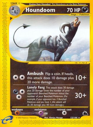 Houndoom (12)/144 - Skyridge