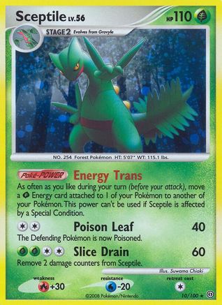 Sceptile/100 - Stormfront Reverse Holofoil