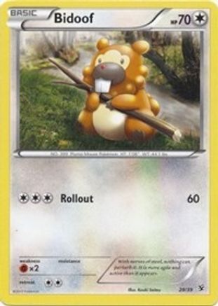 Bidoof/39 - Kalos Starter Set