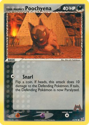 Team Magma's Poochyena - 65/95/95 - Team Magma vs Team Aqua